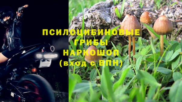 амф Арсеньев