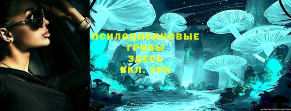амф Арсеньев
